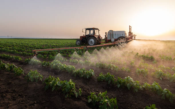 Best Pest Prevention Services  in Elida, OH