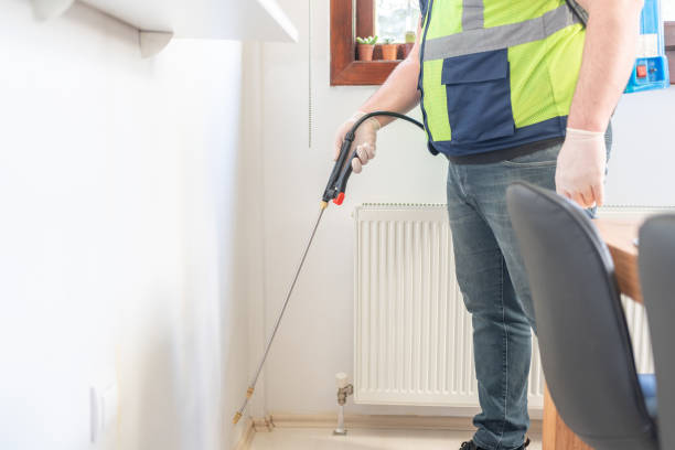 Best Termite Control Services  in Elida, OH