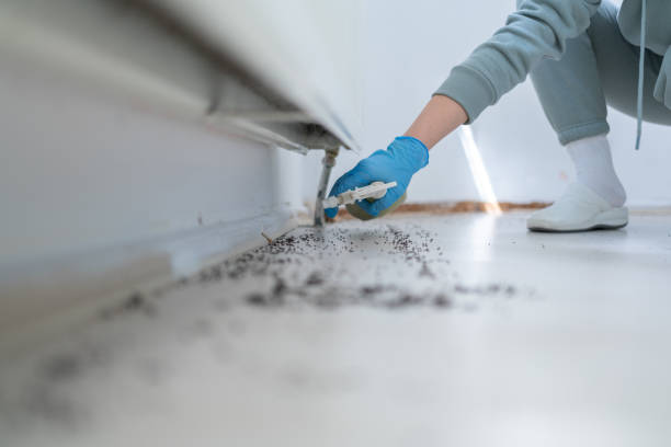 Best Best Pest Control Companies  in Elida, OH